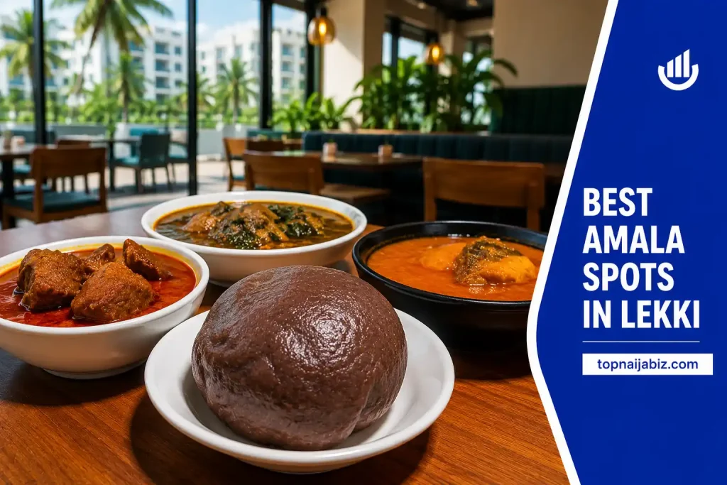 Best Amala Spots in Lekki